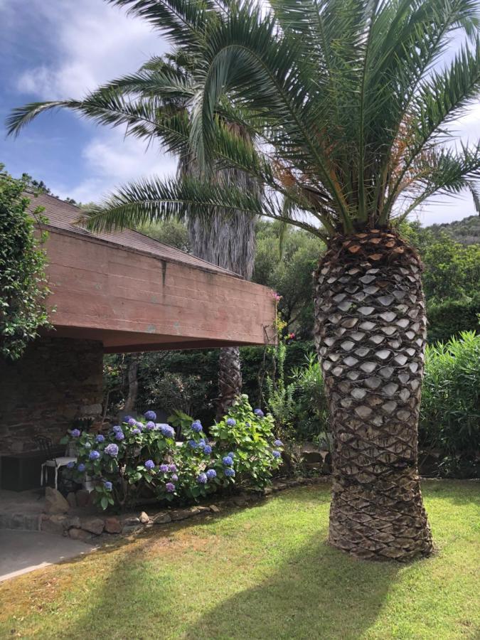 Villa 4 Porto Rotondo Zewnętrze zdjęcie