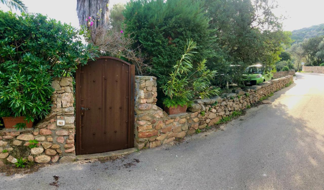 Villa 4 Porto Rotondo Zewnętrze zdjęcie