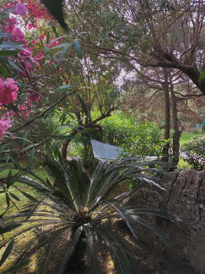 Villa 4 Porto Rotondo Zewnętrze zdjęcie